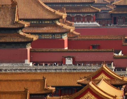 故宫养猫习惯有三百多年的历史了 故宫养猫是为了做什么