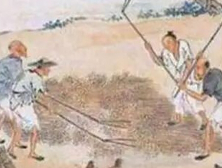 汉朝历史_汉朝读书人的实力为什么会那么强
