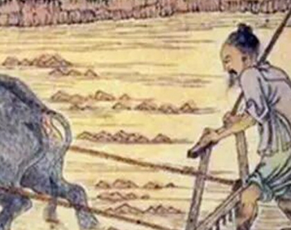 汉朝历史_汉朝读书人的实力为什么会那么强