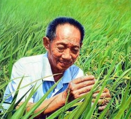 袁隆平院士的生平如何，他对世界的影响有多大？