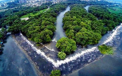 秦朝时期百越只是一块蛮荒土地 秦始皇为什么还要打下这个地方