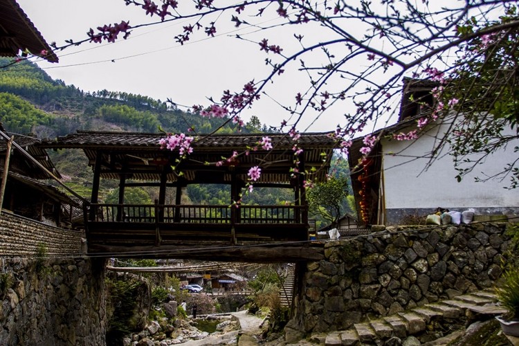 乡土建筑与文化根基