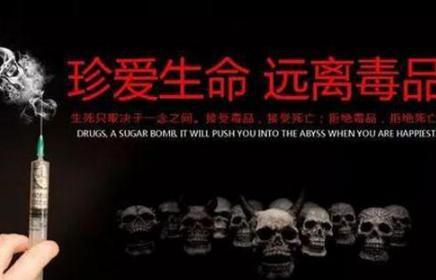 古代历史常识_罂粟是什么时候被发现的？罂粟为什么会变成毒品？